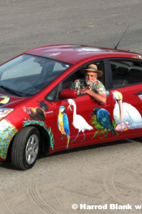 For The Birds Art Car by Marilyn Dreampeace and Kelly Lyles – owned by Les Blank