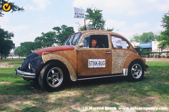 Stink Bug Art Car by Carolyn Stapelton