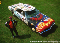 Grass Cars and Outfits Art Car By Gene Pool